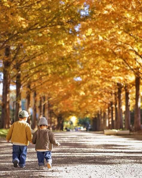 紅葉シーズンの「平塚市総合公園」