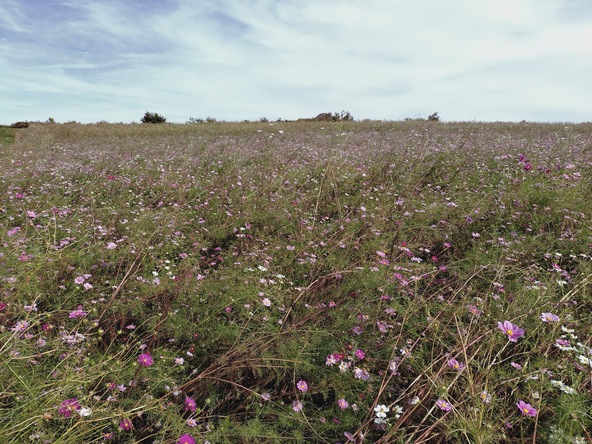2025年11月5日の様子