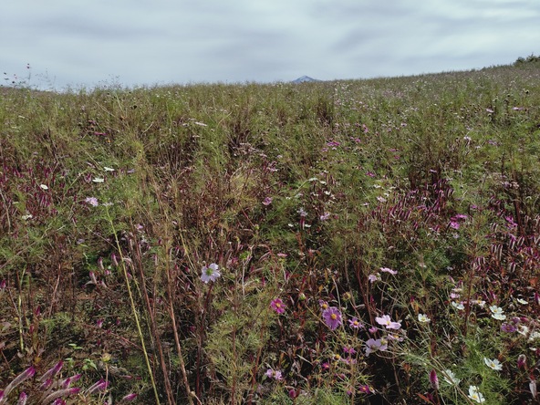 2025年11月5日の様子