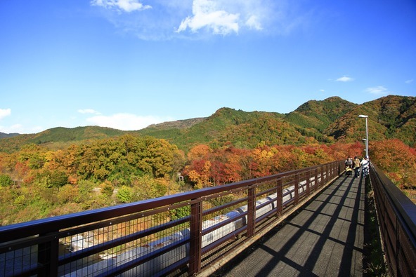 橋の上からの紅葉狩りは開放的でちょっぴりスリリング（画像提供：長瀞町観光協会）