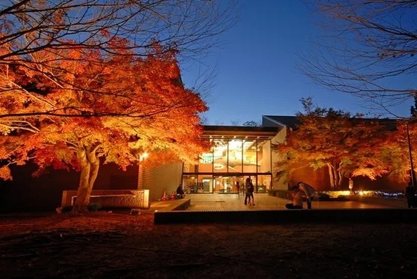 過去開催時のライトアップの様子