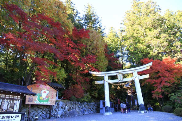 紅葉に映える二の鳥居（画像提供：長瀞町観光協会）