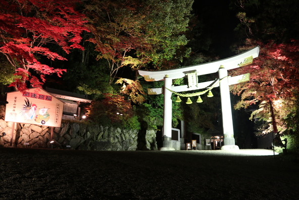 過去開催時のライトアップの様子（画像提供：長瀞町観光協会）