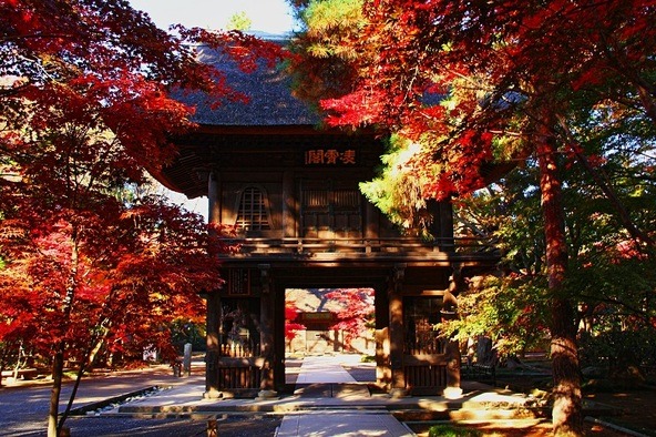 山門を色とりどりの紅葉が飾ります