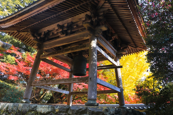 鐘楼と紅葉の共演も絵になります（画像提供：大垣市）