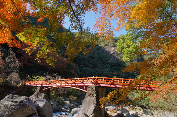 提供：田辺市観光振興課