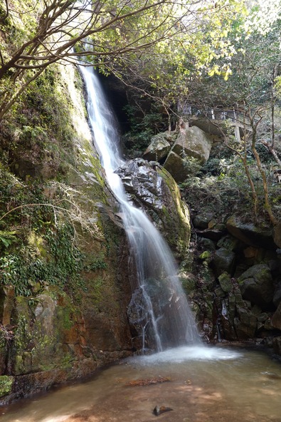 提供：田辺市観光振興課