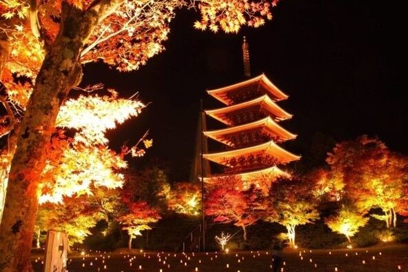 天橋立観光協会