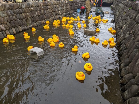 親子で一緒に盛り上がれる「ラバーダックレース」♪
