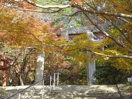 参道には、秋空に映える鮮やかな紅葉が広がります