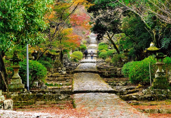 「英彦山参道」の紅葉