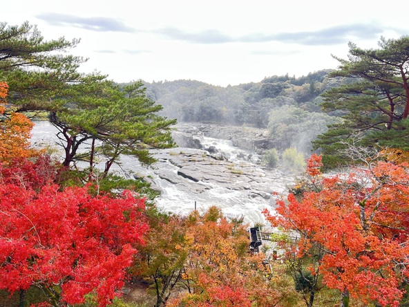 紅葉と大迫力の滝が見られるスポットです