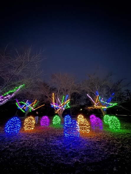 昨年のイルミネーション