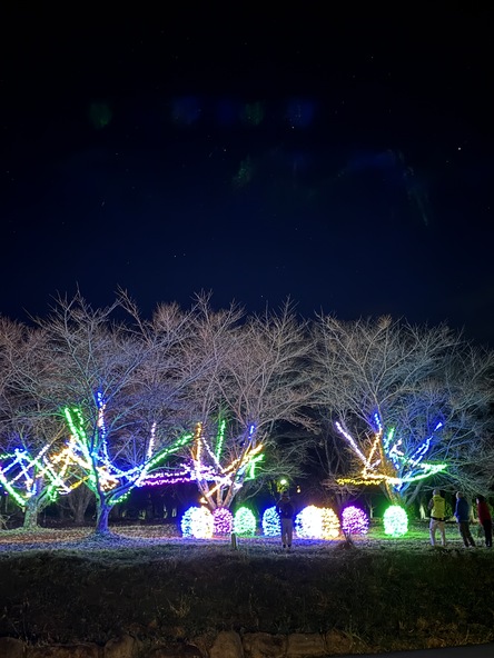 昨年のイルミネーション