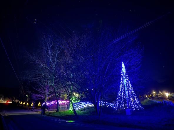 昨年のイルミネーション