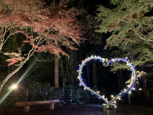 「出会い橋」のライトアップ時の様子（画像提供：伊豆市産業振興協議会）