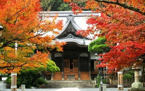「修善寺」の紅葉（画像提供：伊豆市産業振興協議会）
