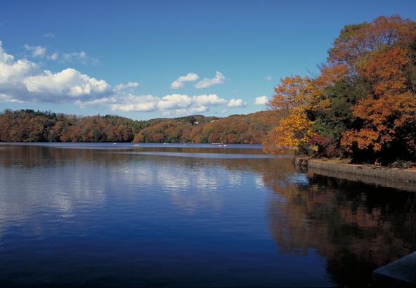 一碧湖の紅葉（画像提供：伊東市）