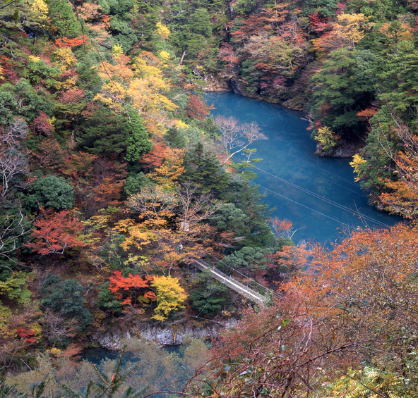 紅葉シーズンの寸又峡（画像提供：unkei / PIXTA）
