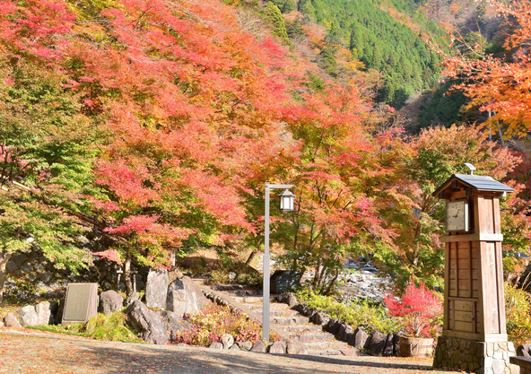 梅ヶ島温泉の紅葉（画像提供：Mt223N / PIXTA）