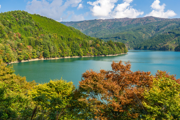 山が色づき始めた時季の「井川湖」もきれいです（画像提供：kei / PIXTA）