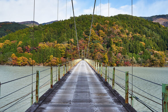 秋の「井川大橋」（画像提供： ぴー / PIXTA））