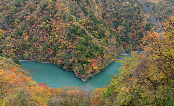 秘境感ただよう畑薙湖（画像提供：らい / PIXTA）