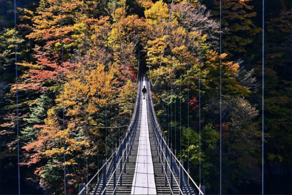 幅が狭く、かなりスリリングな畑薙大吊橋（画像提供：静岡市）
