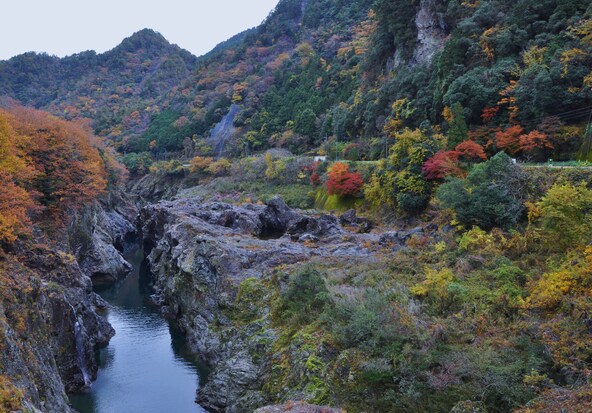 色とりどりの紅葉が美しい、心落ち着く風景です。