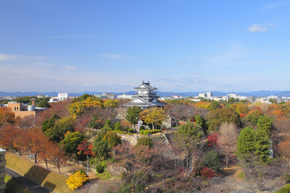 「浜松城」を囲むように広がる紅葉の絶景（画像提供：浜松・浜名湖ツーリズムビューロー）～
