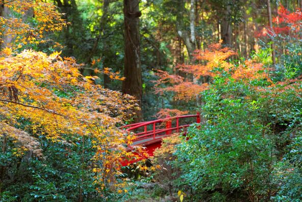 紅葉シーズンの「方広寺」（画像提供：浜松・浜名湖ツーリズムビューロー）