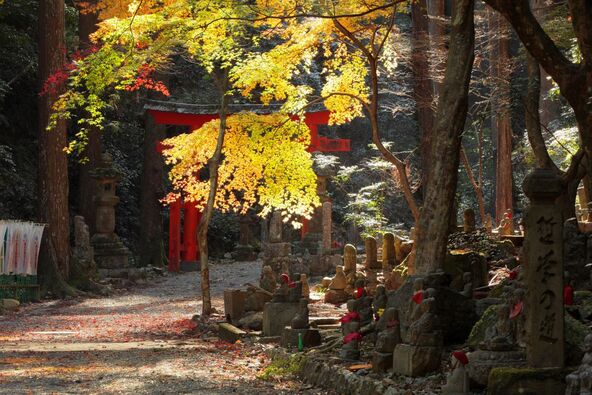 五百羅漢の石像が点在する境内（画像提供：浜松・浜名湖ツーリズムビューロー）