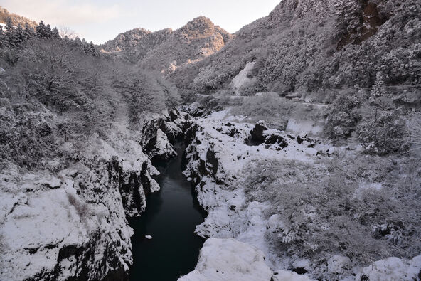雪で覆われたとても幻想的な景色です。