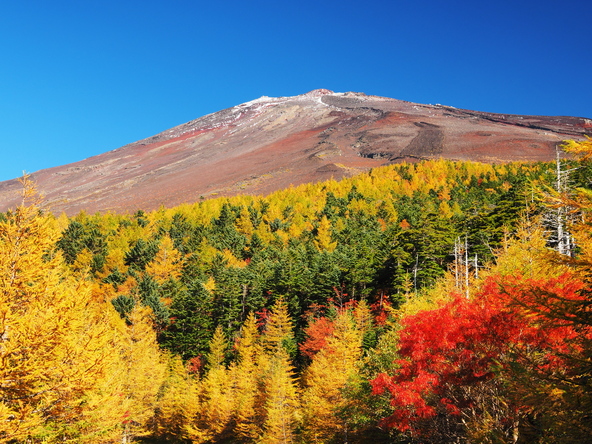 富士山スカイラインから望む紅葉（画像提供：おけいたん / PIXTA）
