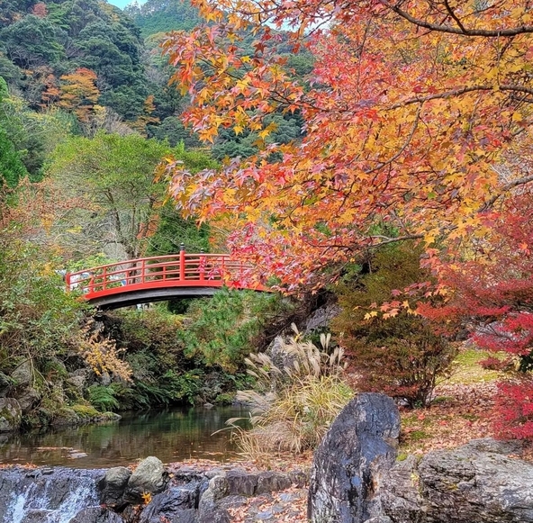 朱橋と紅葉の共演がきれい（画像提供：大紀町）