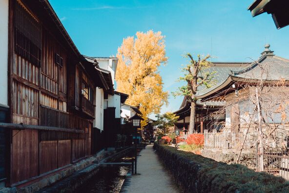 瀬戸川越しに望む黄葉も絵になります（画像提供：飛騨市）