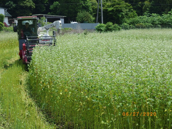 西北部の山々を源とする清流と、昼夜の寒暖差がある気候が、香り高く甘味のあるそばを育てます