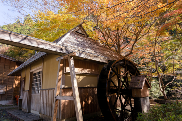 水車小屋と紅葉の風情ある景色にも注目を（画像提供：藤枝市）