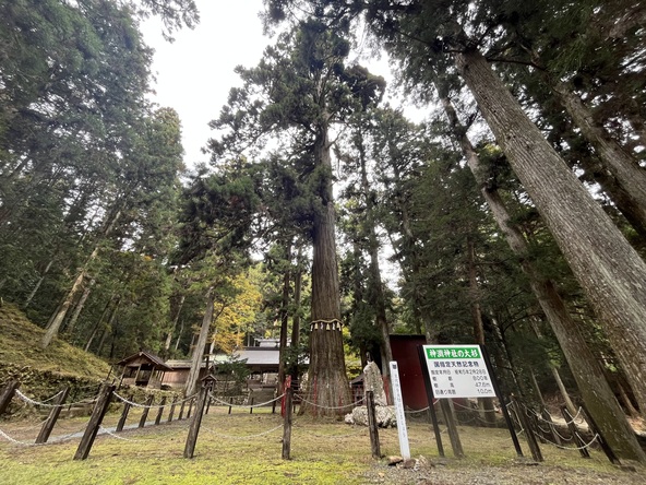 その大きさは圧巻です。