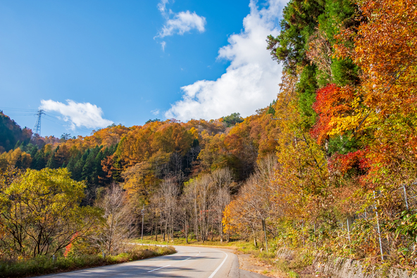 整備された道を快適にドライブ（画像提供：Bull / PIXTA）