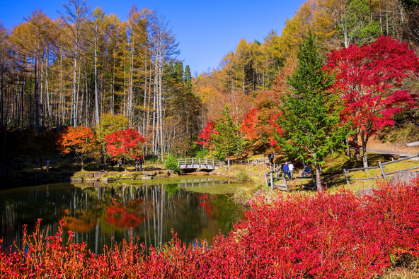 「西ウレ峠」では、紅葉を眺めながらピクニックするファミリーも（画像提供：Bull / PIXTA）