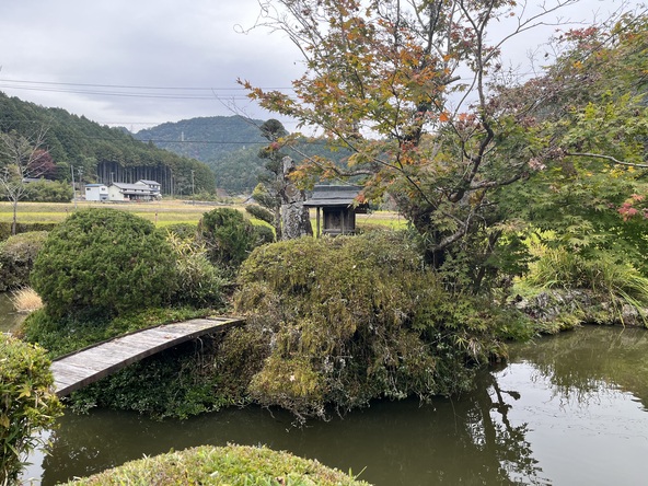 池には鯉が泳いでいます。