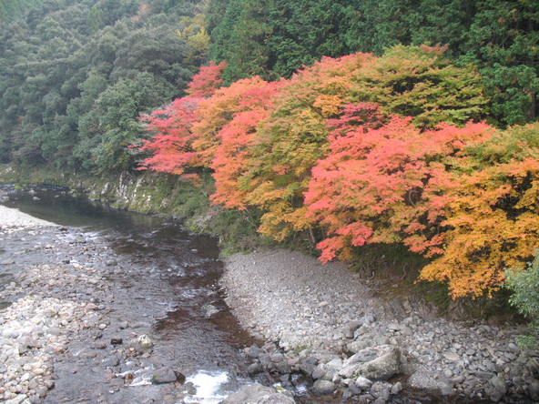 清流と紅葉が織りなす景色を堪能しましょう（画像提供：四万十市）