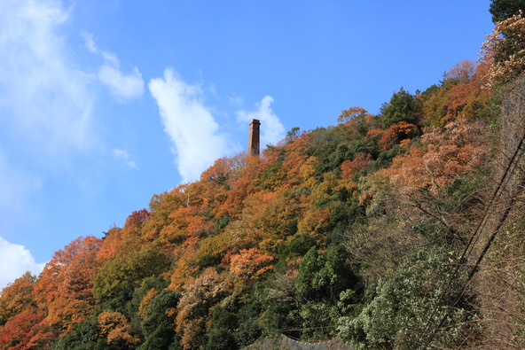 紅葉シーズンの別子ライン