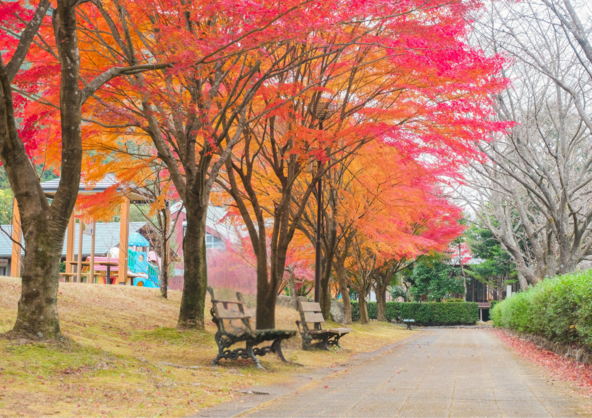 別子ラインの観光拠点「マイントピア別子」は見どころ満載の施設