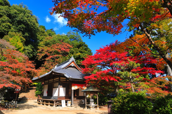 紅葉がピーク時の「西山興隆寺」（画像提供：kazukiatuko / PIXTA）