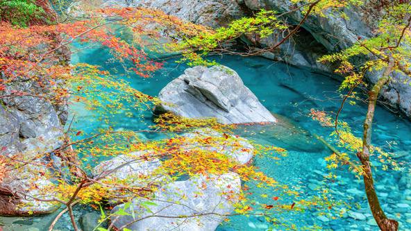 エメラルドグリーンの水と紅葉の共演に感動！（画像提供：安ちゃん / PIXTA）