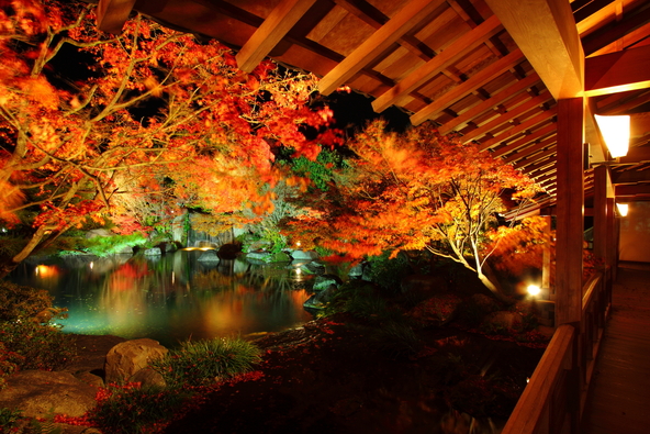 画像提供：TM / PIXTA