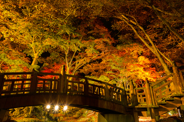 夜のライトアップは昼とは違う表情を見せます