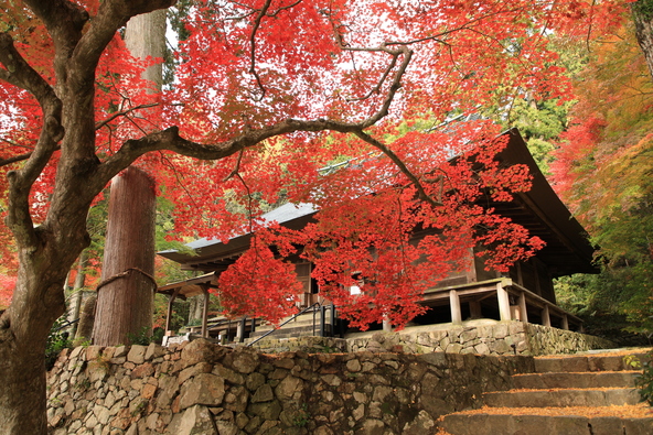 安泰山・大國寺（画像提供：尼崎写真部D班43号仮名 / PIXTA）